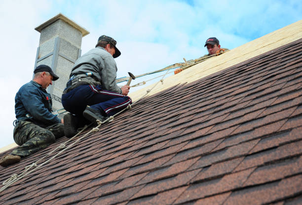 Best Emergency Roof Repair  in Lake Wynonah, PA